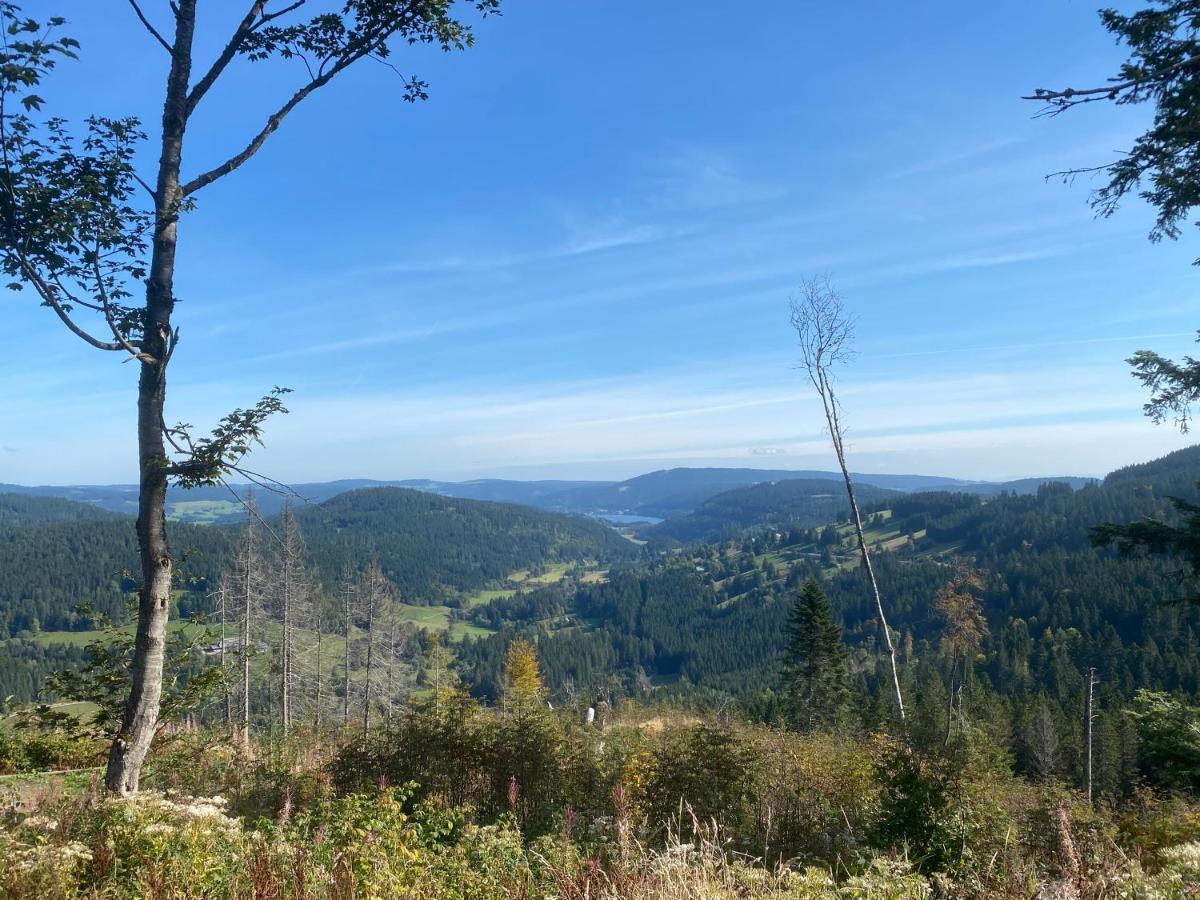 Ferienwohnung 1315 Schluchsee Exteriör bild